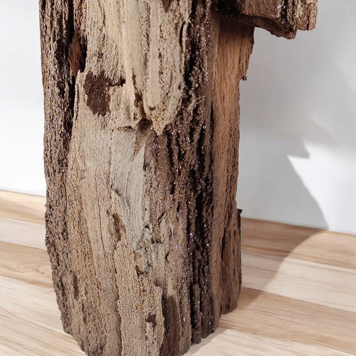 Verkieseltes Holz Feenholz