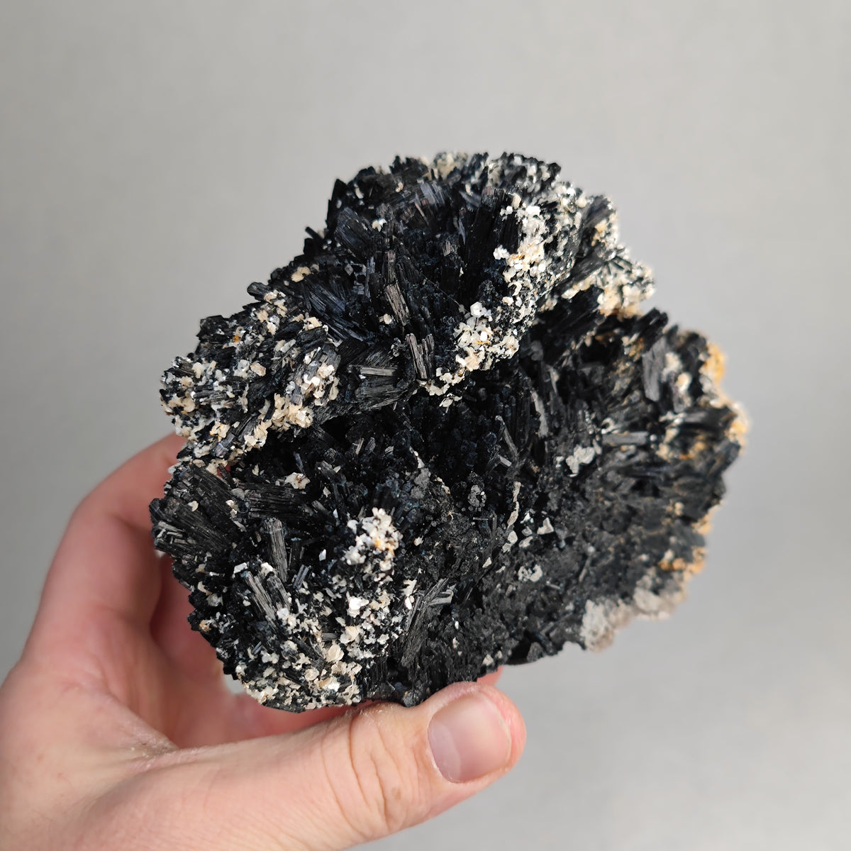 Schörl Turmalin mit Muskovit Glimmer , Namibia
