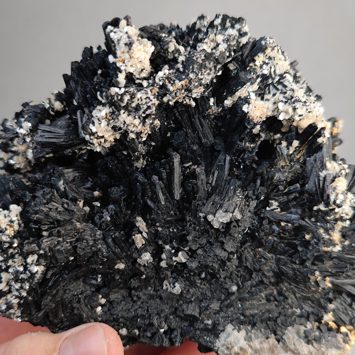 Schörl Turmalin mit Muskovit Glimmer , Namibia