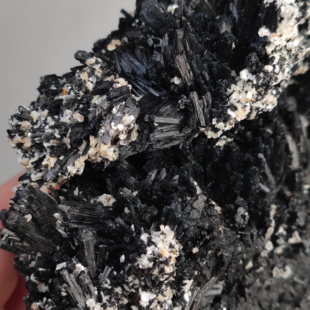 Schörl Turmalin mit Muskovit Glimmer , Namibia